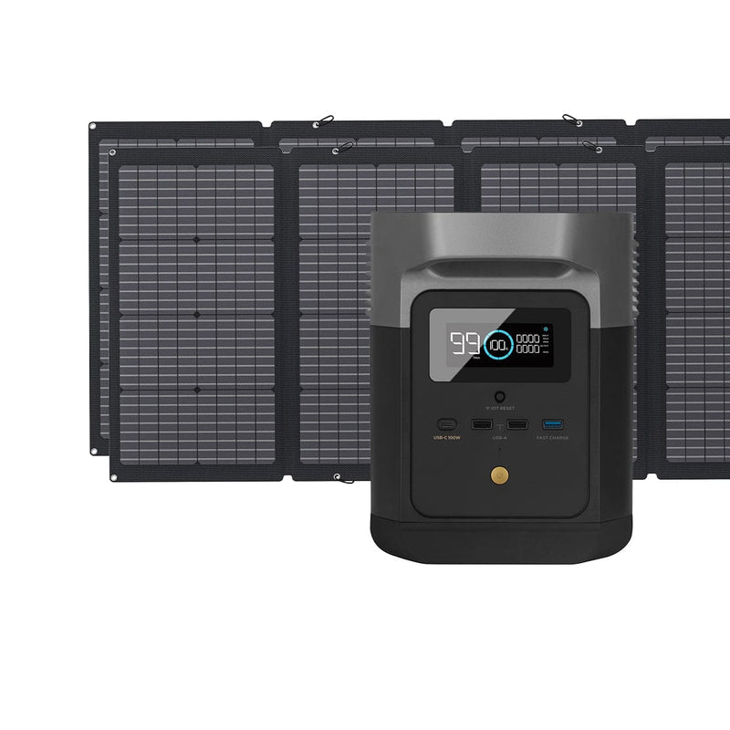 EcoFlow Delta Mini Portable Power Station + 2 Foldable 220W Bifacial Solar Panel Bundle