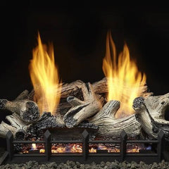 Monessen 18" IntelliFire Plus Natural Blaze Burner, Natural Gas with Remote Control, 28,000 BTU - Pristine Home & Wellness