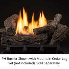Monessen 24" PH Burner, Manual Control - Liquid Propane - PH24PM - Pristine Home & Wellness