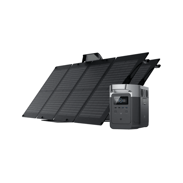 EcoFlow Delta 1000 Portable Power Station + 2 Foldable 110W Solar Panel Bundle